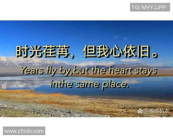 深圳乒乓球队的奋斗与辉煌:一段不平凡的突破之路纪实