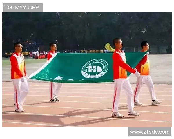 南京排球队杯赛之路的辉煌突破与奋斗历程全景回顾 南京排球队杯赛之路的辉煌突破与奋斗历程全景回顾
